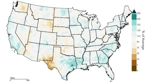 US mean rainfall 2024 growing season