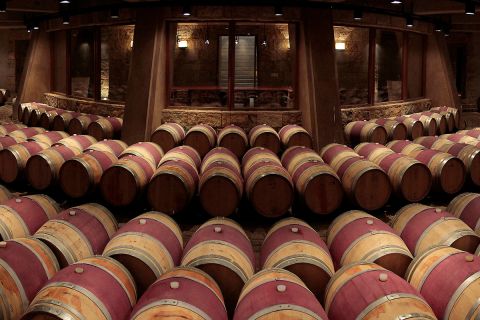 catena barrel cellar