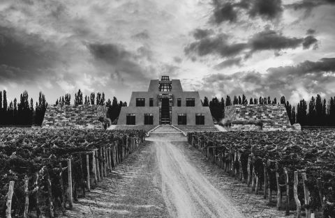 Catena winery and vineyard