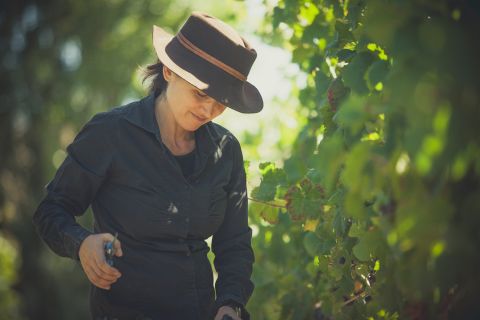 Laura Catena pruning vines