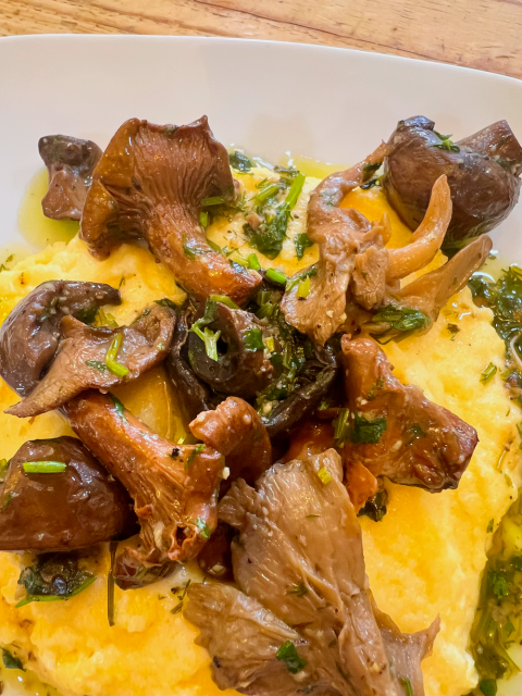 Mushrooms and polenta