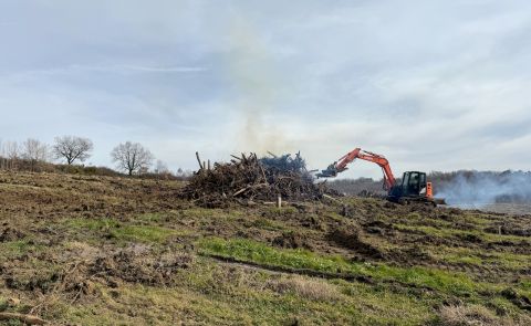 Bordeaux 2024 vines pulled