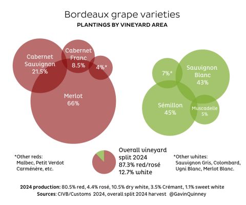 bordeaux grape varieties - plantings by area