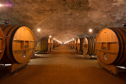 The longest cave © Thibaut-de-Rohan