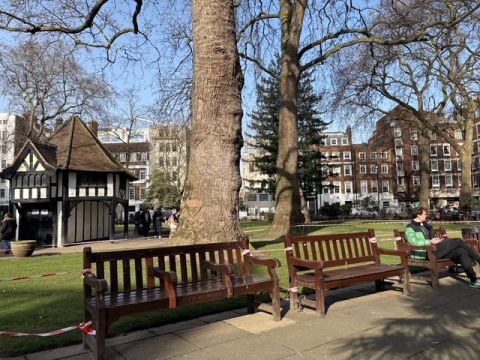 Soho Square with tree and memorial bench