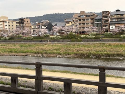 View from Honke resto