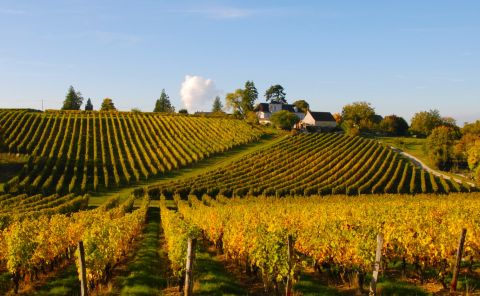 Domaine de la Noblaie in autumn