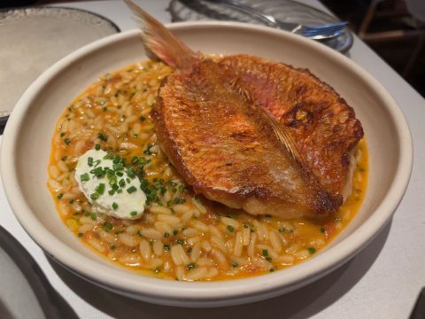 Kima orzo and mullet