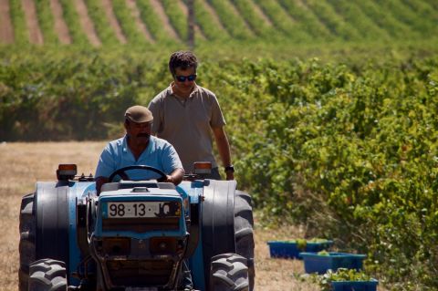 Mendes with António Zé