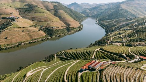 Quinta da Popa aerial view