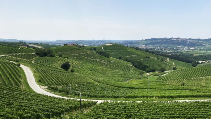 View from Barbaresco towards Guarene