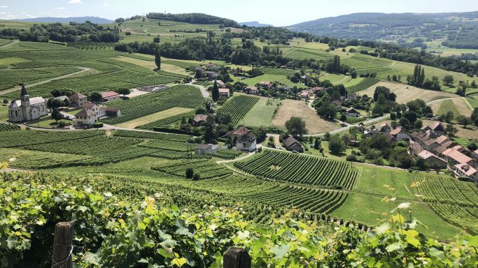 Savoie vinescape