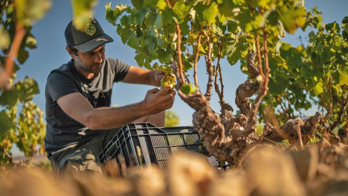 Jean Smit - winemaker at Moya Meaker and Damascene